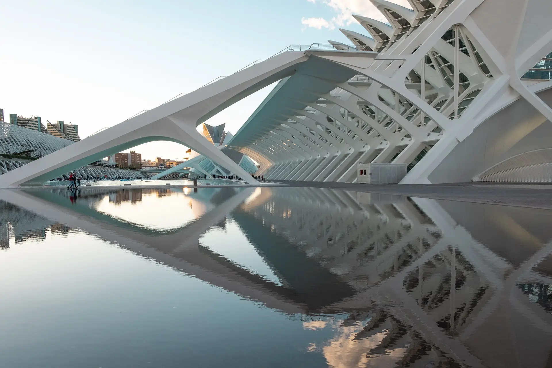 The City of Arts and Sciences Valencia photography with water reflections